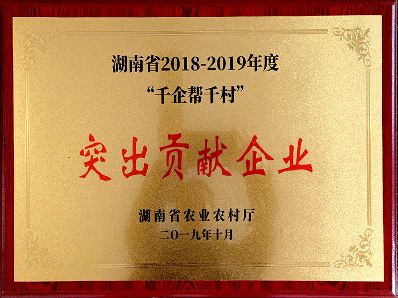 “千企幫千村”突出貢獻獎
