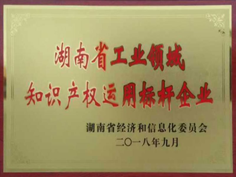 省知識產權標桿企業